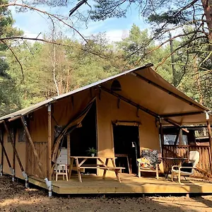 Camp Bursztynowy Gdaňsk